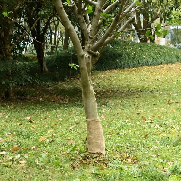 vidaXL juterulle 0,25x100 m 200 gsm 100 % jute